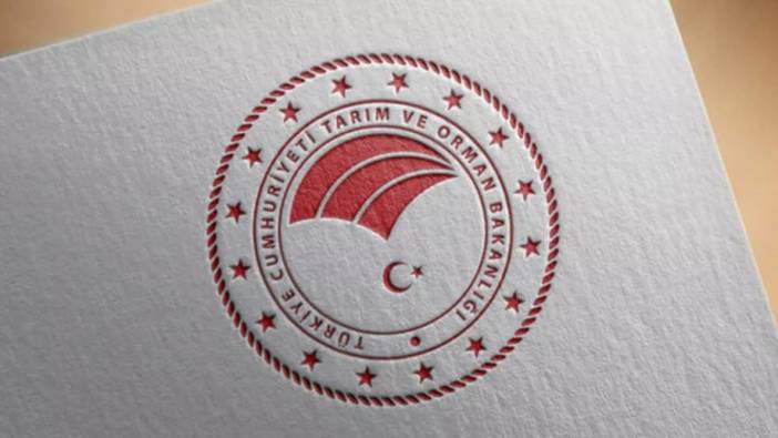 O bakanlığa sözleşmeli personel alınacak