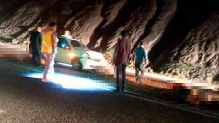 Otomobil sürüyü biçti: 17 koyun telef oldu