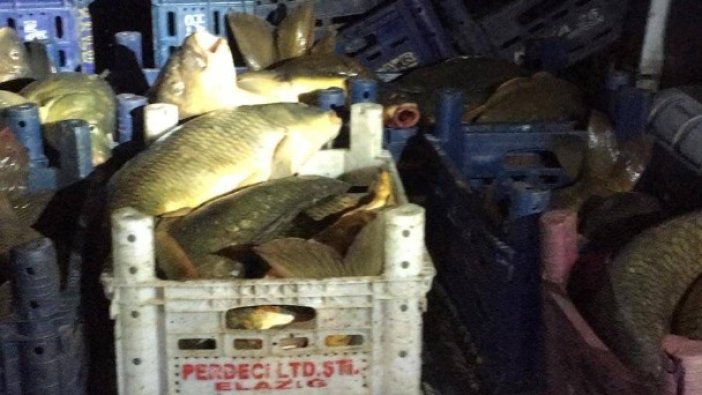 Ava giderken avlandı: Binlerce lira ceza ödeyecek