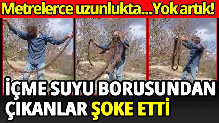 İçme suyu borusundan çıkanlar şoke etti