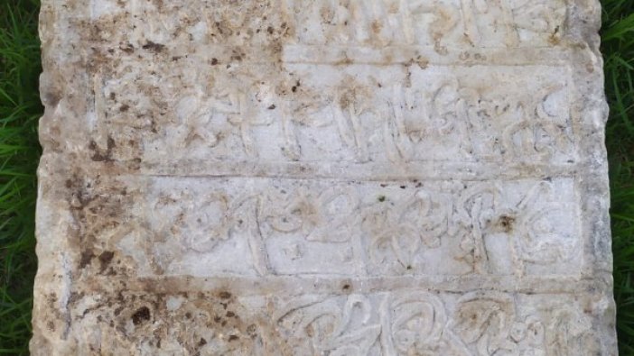 Bakanlık internetten gördü koruma altına aldı