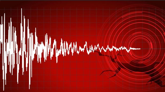 Japonya'da deprem: 4 yaralı