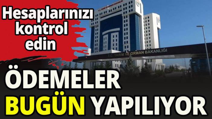 Destek ödemeleri bugün hesaba yatıyor