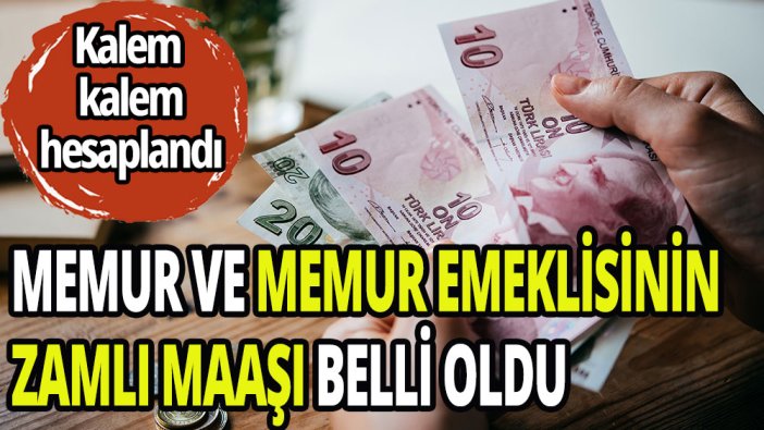 Memur ve memur emeklisinin zamlı maaşları belli oldu
