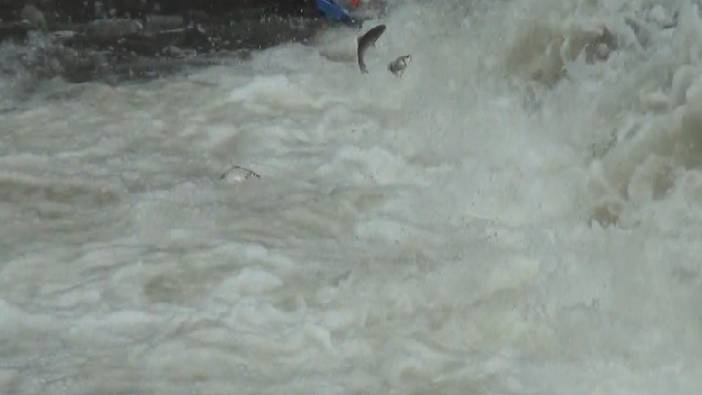 'Ölüm' göçü başladı