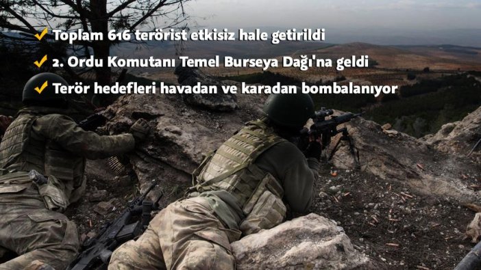 Afrin'de operasyonlar sürüyor