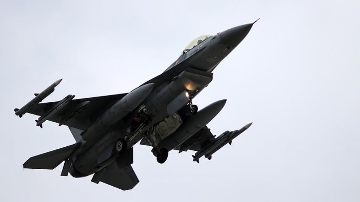 "Zeytin Dalı Harekatı'nda sadece teröristler hedef alınıyor"