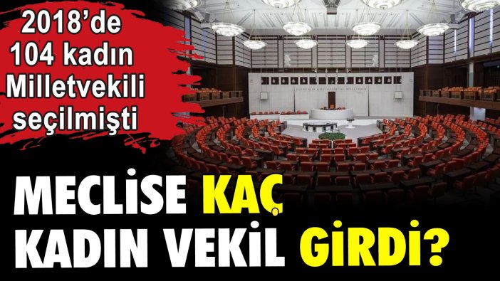 Meclise kaç kadın vekil girdi?
