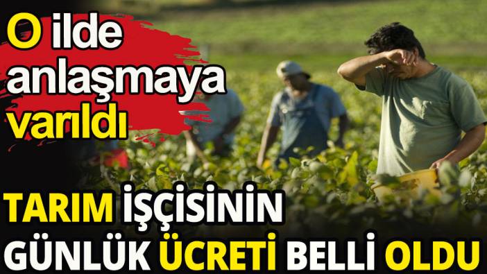 Elbistan'da tarım işçilerinin günlük ücretleri belli oldu