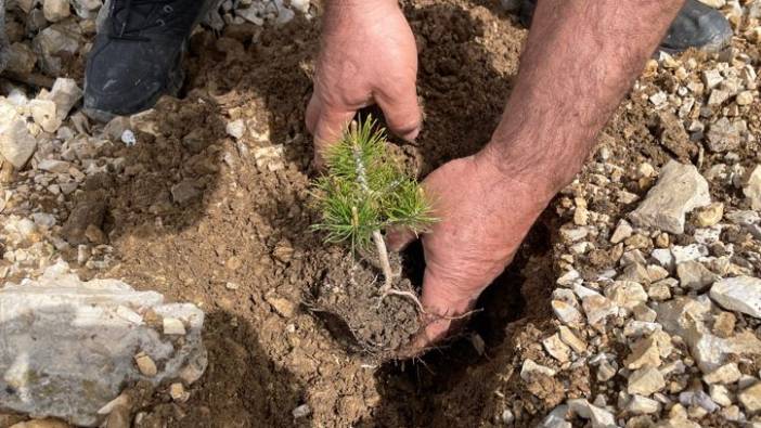 Fidan dikme şartı cezadan kurtardı