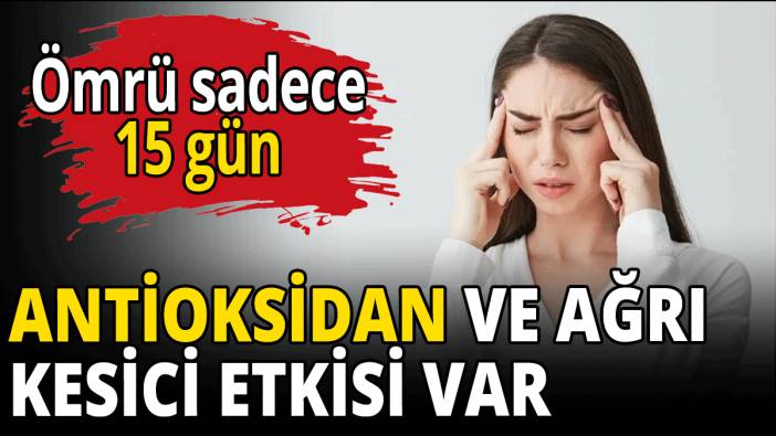 Ağrı kesici ve antioksidan etkiye sahip