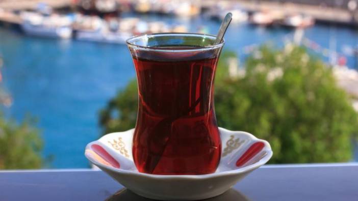 Çin'de Türk çayı tanıtıldı