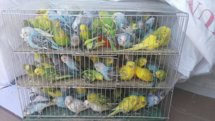 Van'da kaçakçılıkla mücadele