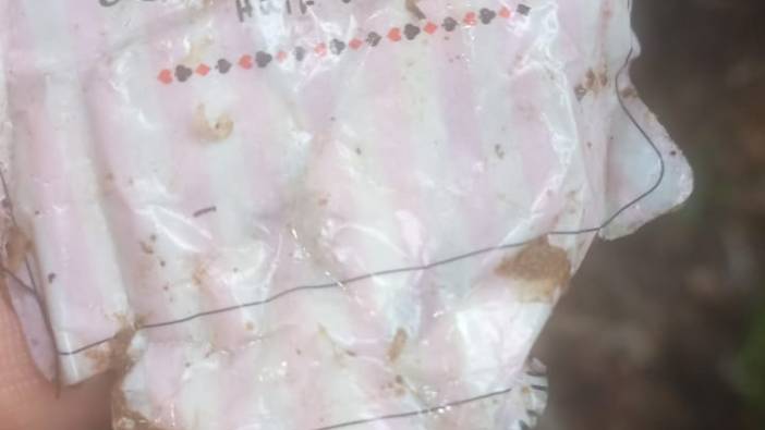 Uçak kazasında mucize kurtuluşlar!