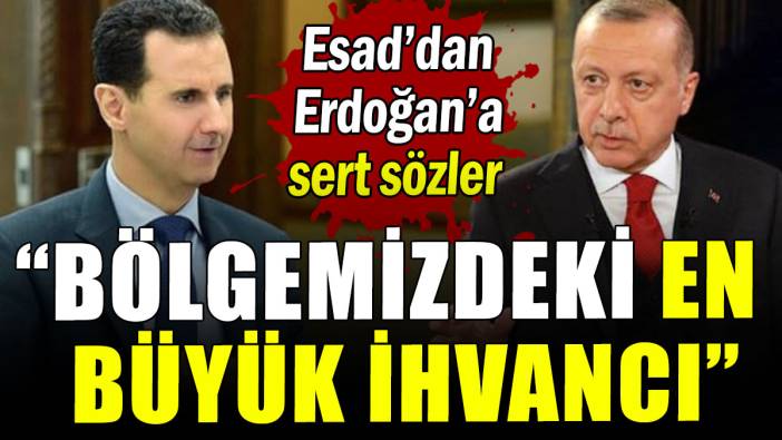 Esad'dan Erdoğan'a sert sözler: Bölgemizdeki en büyük İhvancı