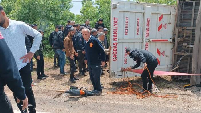 Devrilen TIR'daki 102 koyun ve keçi öldü; şoför yaralı