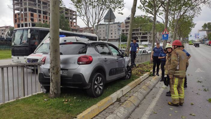 İki ağaç arasına sıkıştı