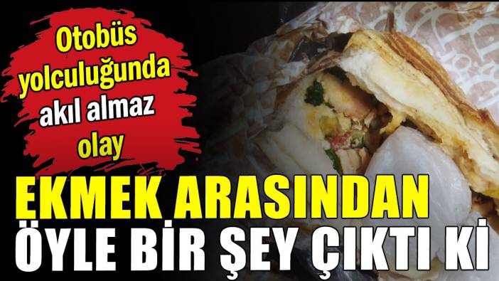 Ekmek arasından çıkanlar şaşırttı