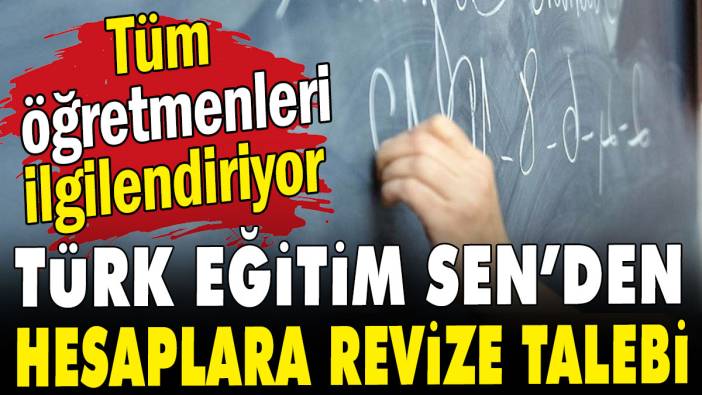 Uzman ve başöğretmenler dikkat: Türk Eğitim Sen'den revize hamlesi