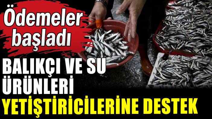 Balıkçılara ve su ürünleri yetiştiricilerine ödeme desteği