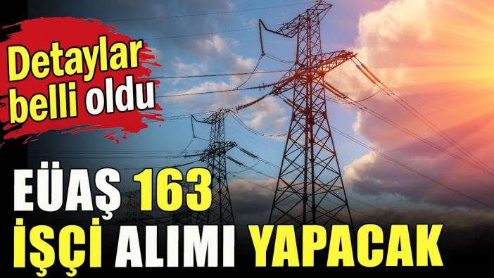 Elektrik Üretim Aş. Genel Müdürlüğü 163 işçi alacak