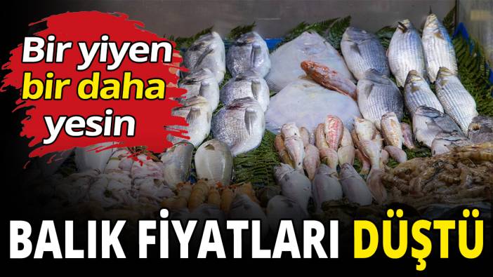 Balık fiyatları düştü