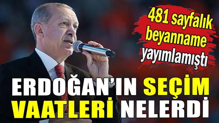 481 sayfalık beyanname yayımlamıştı: Erdoğan'ın seçim vaatleri nelerdi?
