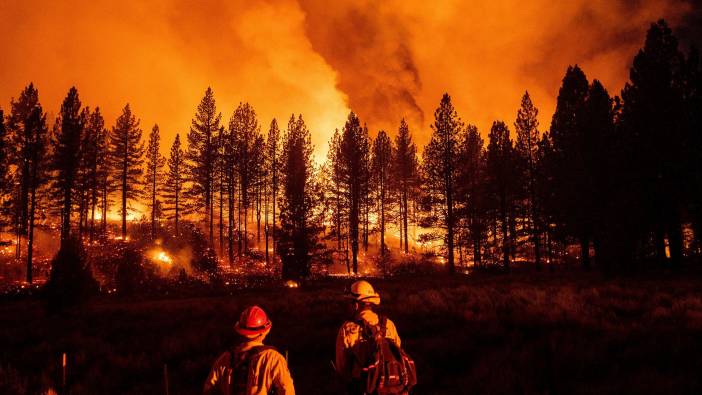 Orman yangınları yüzde 50 artış gösterebilir