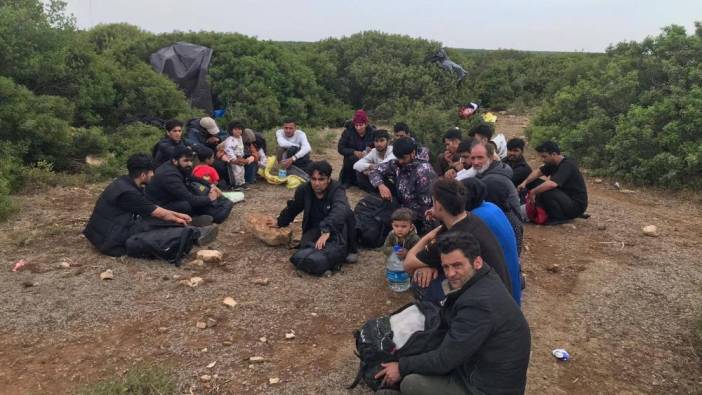Aydın'da düzensiz göçmenler yakalandı