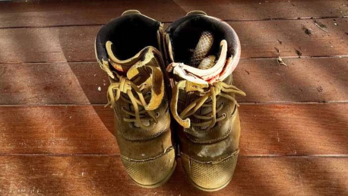 Botundan çıkanla şoke oldu