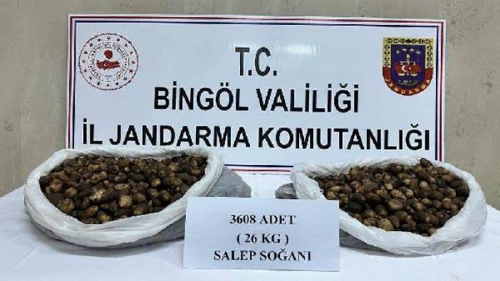 Bingöl’de kaçak salep soğanı toplayan 2 kişiye ceza