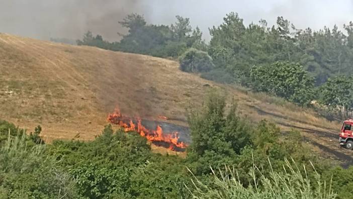 Adana'da yangın ormana sıçradı