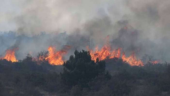 Kilis'te orman yangını