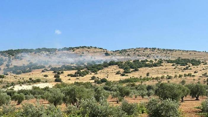 Kilis'te çıkan orman yangını söndürüldü