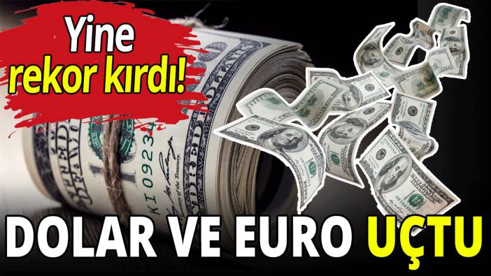 Dolar ve Euro uçtu