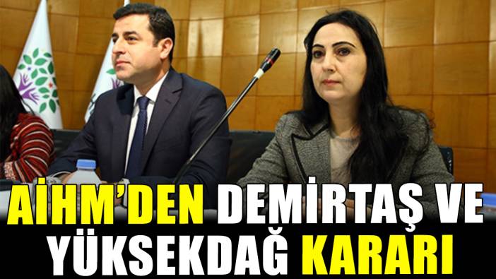 AİHM'den Selahattin Demirtaş ve Figen Yüksekdağ kararı