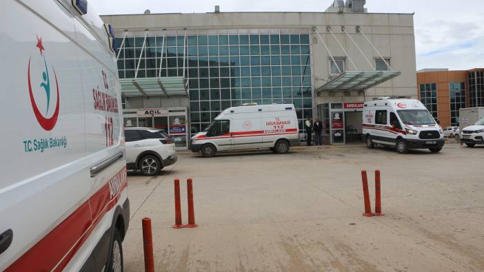 Kestiği ağaç katili oldu