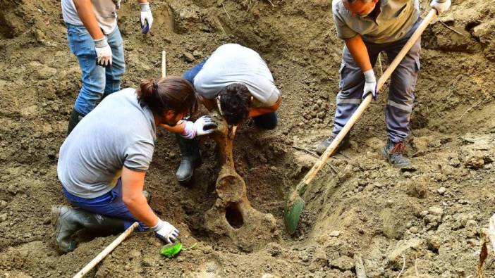 Mezarı açıldı, 16 yıl sonra kemikleri çıkartıldı