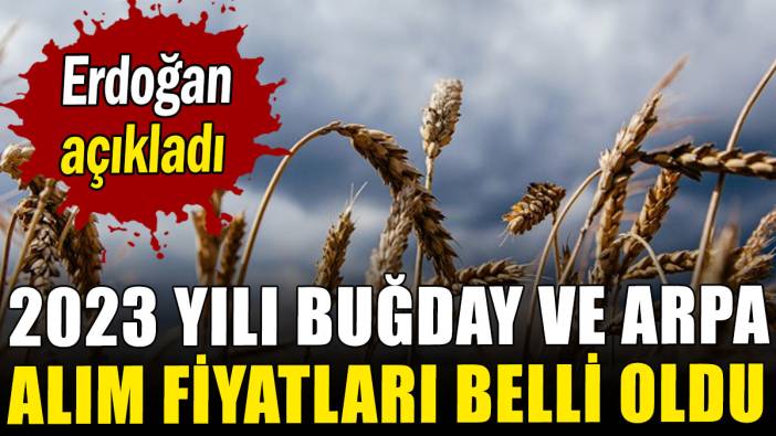 Erdoğan, 2023 yılı buğday ve arpa alım fiyatlarını açıkladı