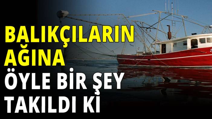 Balıkçıların ağına öyle bir şey takıldı ki