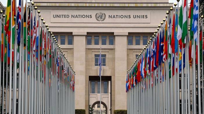 Birleşmiş Milletler'den 'istenmeyen kişi' açıklaması