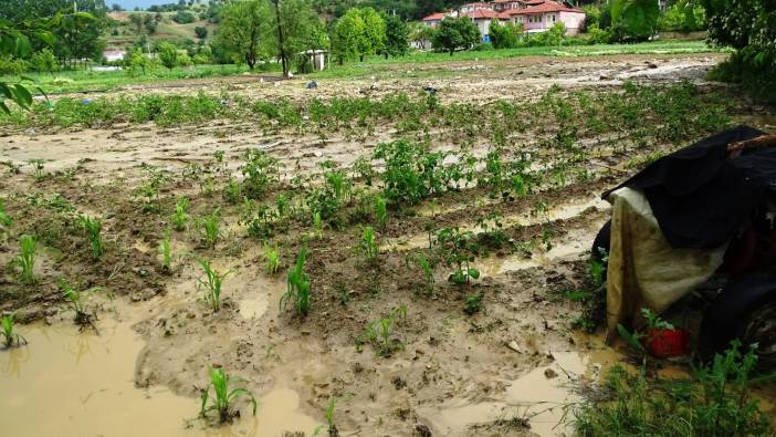 Sel Hisarcık'ın tarım bölgesini vurdu