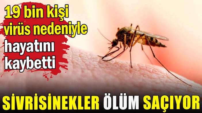 Sivrisinekler ölüm saçıyor: 19 bin kişi hayatını kaybetti