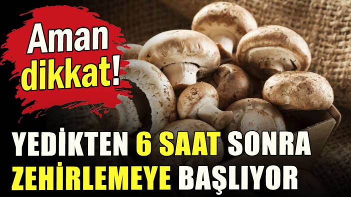 Yedikten 6 saat sonra zehirlemeye başlıyor