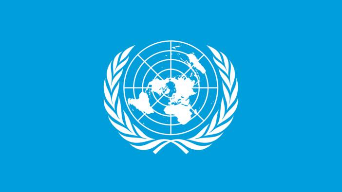 BM Güvenlik Konseyi'nden dünya barışı tasarısına onay
