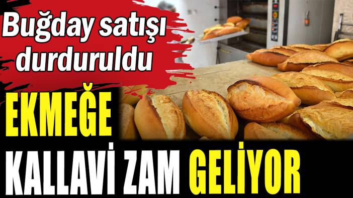 Ekmeğe kallavi zam geliyor: Buğday satışı durduruldu