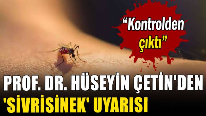 Prof. Dr. Hüseyin Çetin'den 'sivrisinek' uyarısı: Kontrolden çıktı