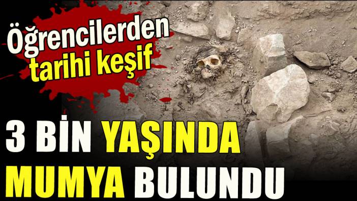 3 bin yaşında mumya bulundu