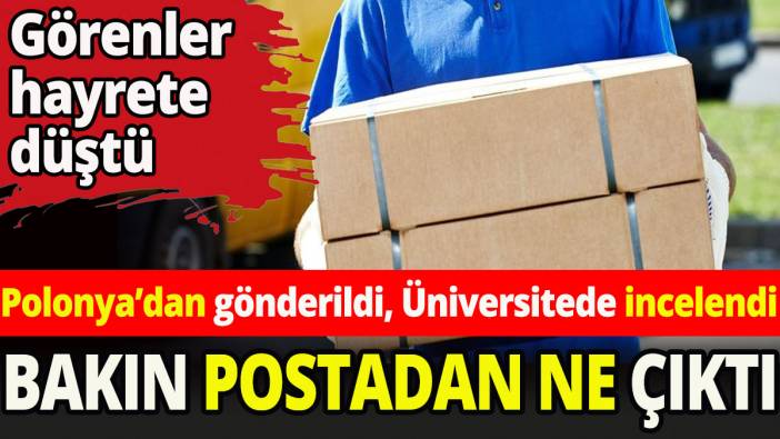 Kargodan çıkanlar hayrete düşürdü