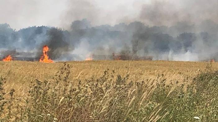 Çanakkale'de yangın: 45 dönüm arazi küle döndü